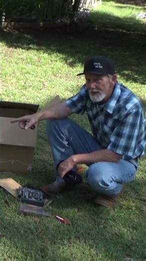 Raised beds to eliminate voles