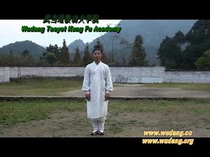Wudang Taiyi Wuxing Qigong, 5 Elements, 管永星五形气功