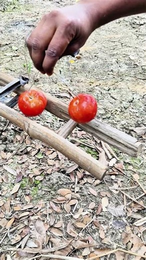 Trapping and hunting the old fashioned way