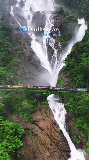 🌊dudhsagar waterfall!! Chasing waterfalls, finding peace💜💕📍🌿 #travel #nature #dudhsagarfallsingoa