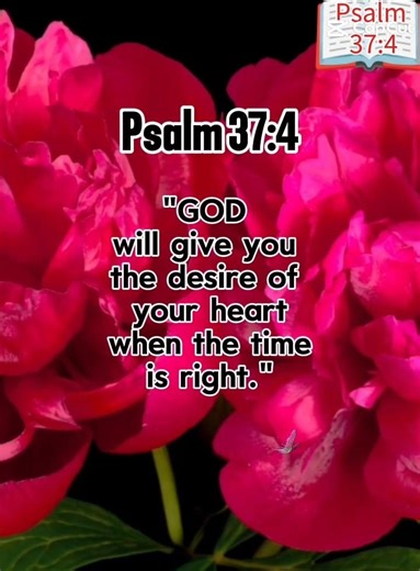 Psalm 37:4📖#word #of #god