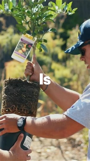 CSUM Associated Students. Inc on Instagram: "Get involved, make an impact, and learn by doing! 💪 Community Engagement Learning @calpolymaritime.celc at Cal Maritime is an amazing way to stay active, give back, and support those in need! all while developing your leadership and teamwork skills. Ready to make a difference? Sign up today through GivePulse @calpolymaritime.celc #university #csu #college #calstate #reel #maritime #photo #notherncalifornia #norcal #socal #southern #community #communi