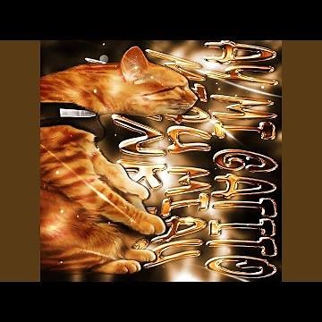 AY MI GATITO MIAU MIAU FUNK 5.0 (8D)