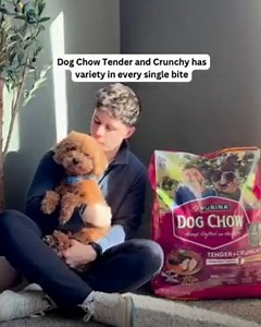 Dog Chow Tender and Crunchy has variety in every single bite | Purina Dog Chow