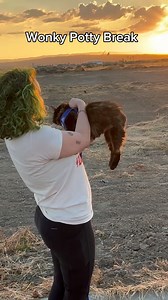 4.5M views · 2.6K reactions | Ditching gas and pissing cats! ⛽️ This Wonky Wednesday is brought to you by… Tesla Charging Stations They got the sunsets AND the high quality talent  @elonmusk let us know when we can expect our checks for the five star entertainment 欄 | Megan and the Rescues | Facebook