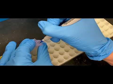 QIAquick PCR Purification