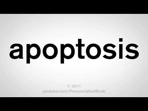 How To Pronounce Apoptosis