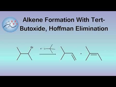 Alkene Formation With Tert-Butoxide, Hoffmann Elimination Mechanism | Organic Chemistry