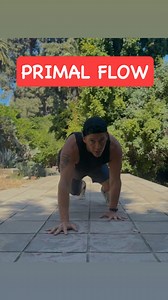 6.6K views · 181 reactions | Mobility Training: How to Practice Primal Flow. #mobilitytraining #movement #personaltrainer | Personal Trainer Alejandro | Facebook