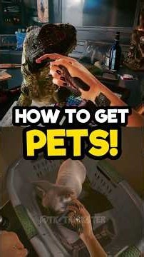 How To Get PETS For Your Apartment! #Cyberpunk2077