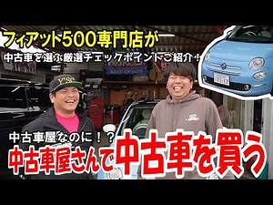 【初コラボ】フィアット専門店が中古車選びの極意教えます！中古車屋が中古車屋で中古車を買う！?【フィアット500】
