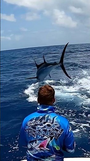 THIS GIANT MARLIN'S INCREDIBLE AERIAL DISPLAY IS SIMPLY BREATHTAKING #Marlin #Fishing