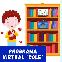 PROGRAMA VIRTUAL