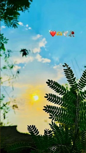 Subha ke Khawab se Udayi hai #aestheic #bollywood #shortvideo