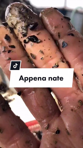 BujuLeinad su TikTok