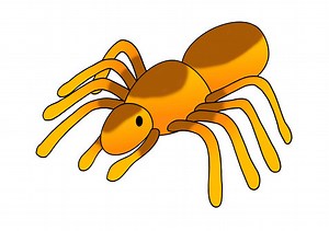 Art activities 3rd and 4rth grades