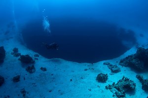 Blue Hole Diving at one of the Best Dive Sites in the Bahamas - All Star Liveaboards