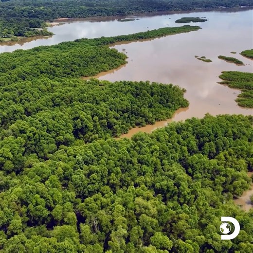 He led his family to a new world, and then lost them forever 🥲 Watch #ExpeditionFiles with Joshua Gates tomorrow night at 9p on Discovery. | Expedition Unknown