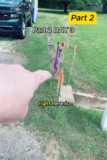 When Neighbors Get Mad: Part 2 Insights