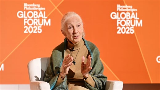 Watch: Jane Goodall remembered through viral chimp hug