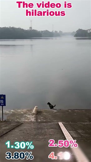 This is so funny, I couldn't stop laughing 😂😂 #funny #funnyvideos #duet