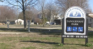 Spring Lake launches capital campaign for park redevelopment