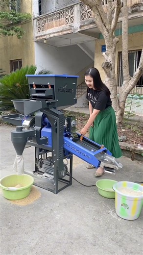 Home use combined rice mill | Backbone Machinery-Factory