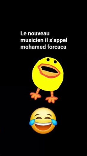 le nouveau musicien