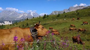 29K views · 44 reactions | Courchevel on Reels | Facebook