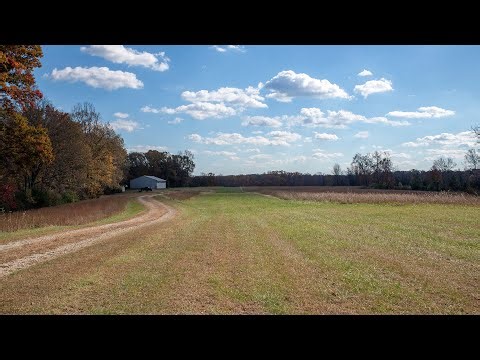 73+/- Acres on the Buffalo River with Private 1,700' Airstrip & Hangar | Amherst VA Farm for Sale