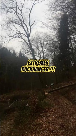 Extremer Rückhänger 🥵. Hier eine Spezialfällung #forstwirtschaft #waldarbeit #wood #woodworking