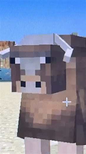 Where is the imposter? (Animation)