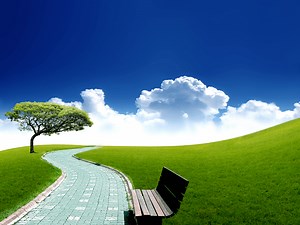 Functional Medicine: What is it? How does it work? Why should you try it?