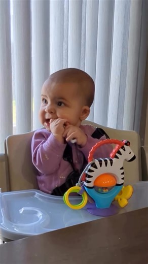 I panicked a little as a first-time mom... when our pediatrician said, “You can start serving your baby food now.” I nodded. Smiled. Probably said “sounds good!” like I totally understood. Inside? I was screaming: WHAT DOES THAT EVEN MEAN? Do I just… feed her purees now? How often should I feed her? What if she gags or has a reaction? I needed more guidance than just “Start your baby on solids.” So I built what I wished I had... The 101 Before One: Starting Solids Guide Written alongside a pedia