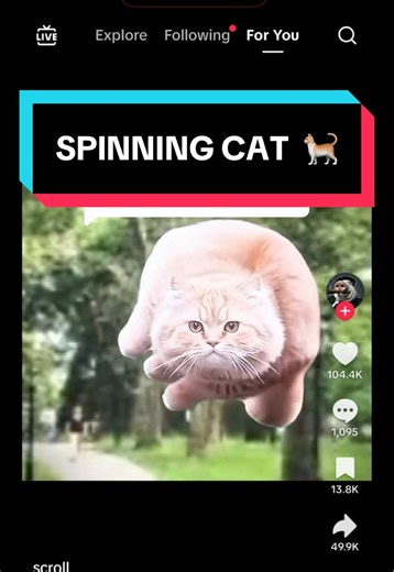 Spinning Cat Challenge: Fun Gameplay Highlights