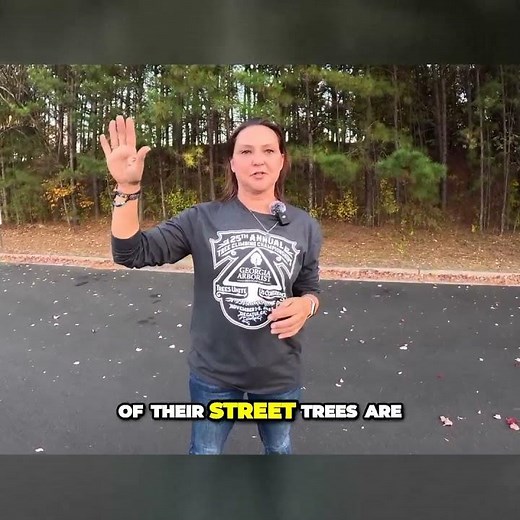 Battling Crepe Myrtle Bark Scale Infestation Expert Tips