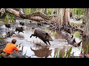 Danger in Georgia Swamp - Wild Boar Hunt to Save Crops - Wild Boar Hunt in Georgia Swamp