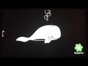 Two Tone Motion - Whale