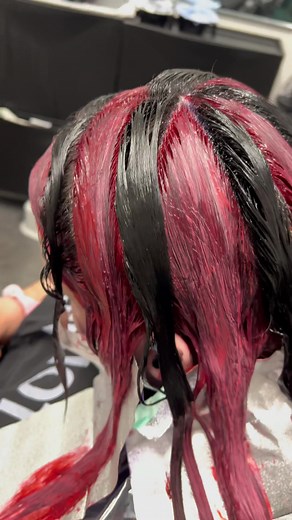 Black and Red Chunky Hair Color Processing