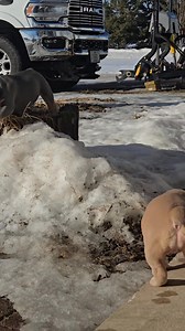 The crew | Tina Hartwig