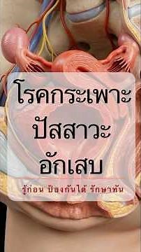 กระเพาะปัสสาวะอักเสบในสตรี #สุขภาพ 3 นาที