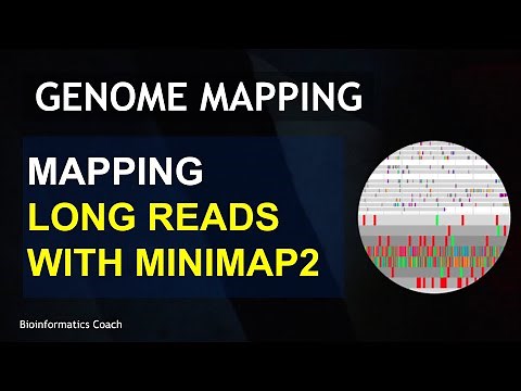 Minimap2 Tutorial for Mapping Long Reads (ONT) Reads in Linux