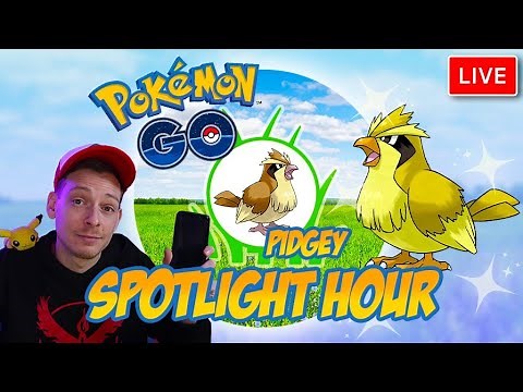 Shiny Pidgey Spotlight Live | Pokemon GO