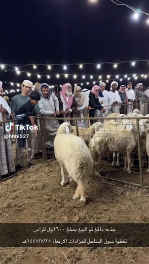 فيديوهات أنشأها suoq_rukba (@suoq_rukba) باستخدام الصوت الأصلي - suoq_rukba