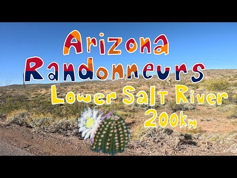 Lower Salt River 200km with the Arizona Randonneurs 2026-02-14