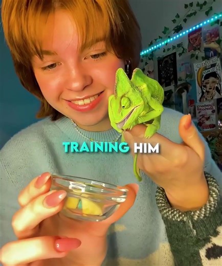 🦎 This Chameleon Learned a Trick That Will Blow Your Mind 😱 Most Talented Pet Ever!