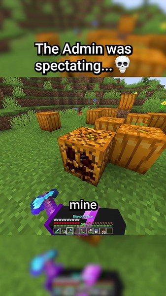 POV: The Admin was spectating AGAIN... 💀🙏