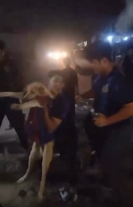 Biswash Bhusal on Reels