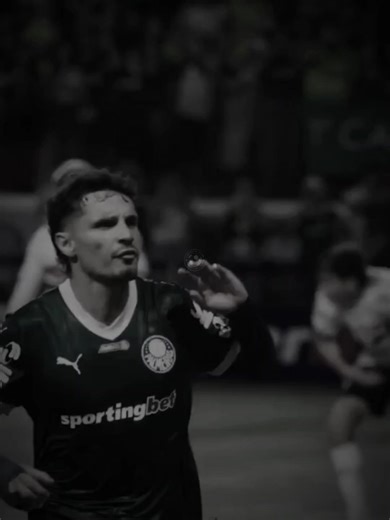 PALMEIRAS VS BOTAFOGO DE ALTO NÍVEL?! #futebol #palmeiras #botafogo #brasileirao