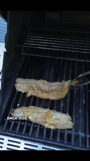 Bluefish: Good Eating Fish or Trash?